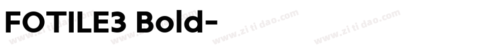 FOTILE3 Bold字体转换